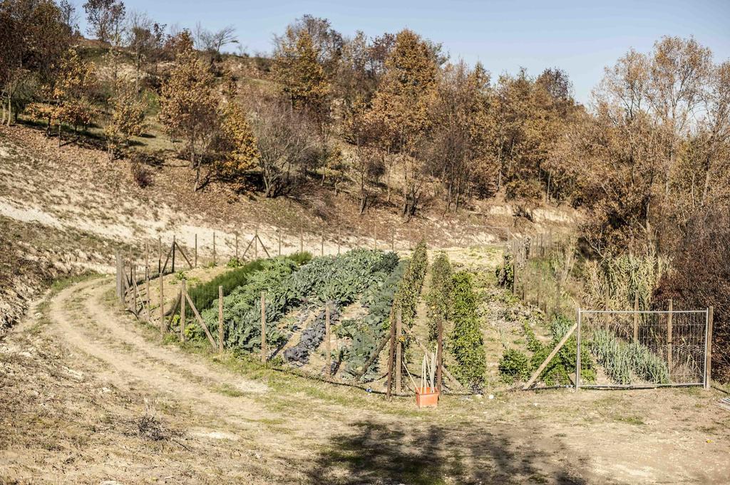 Azienda Agrituristica Alcastle Montabone ภายนอก รูปภาพ
